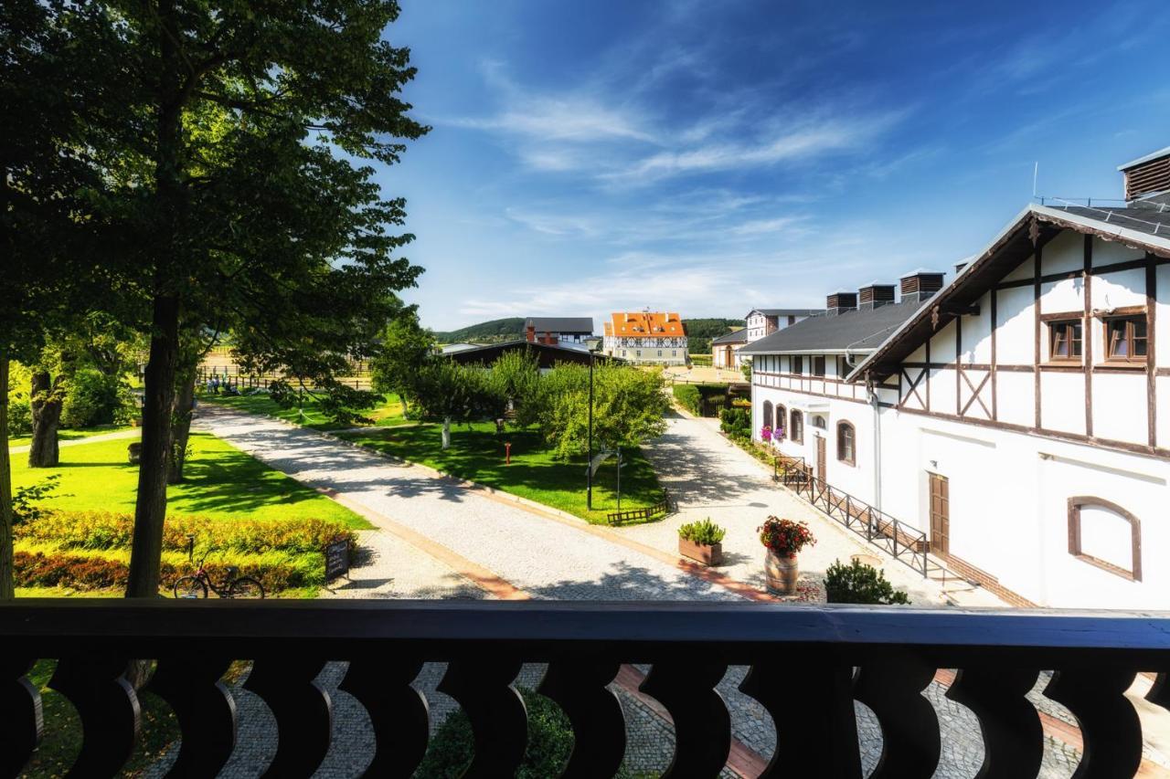 Dworzysko Hotel Szczawno-Zdroj Exterior foto