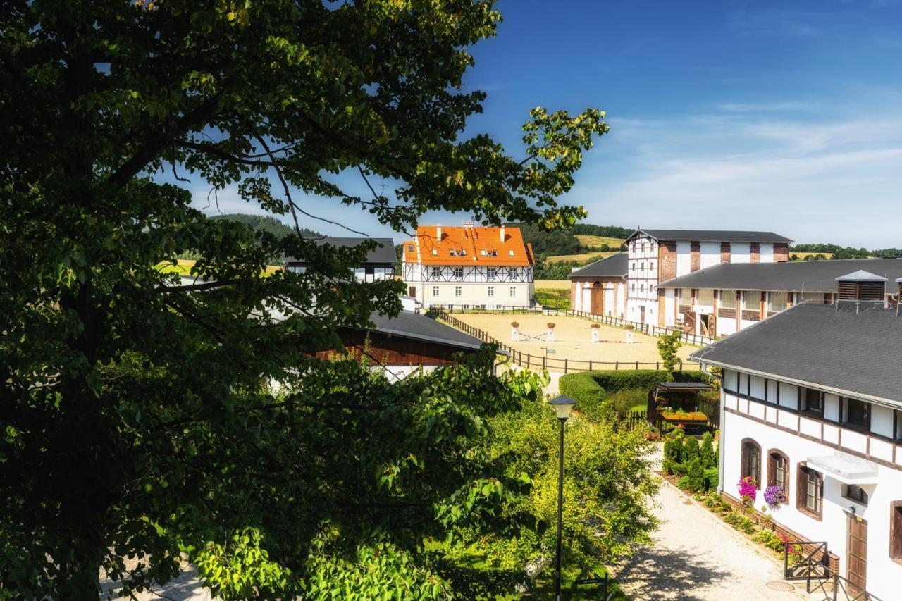 Dworzysko Hotel Szczawno-Zdroj Exterior foto